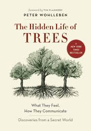 The Hidden Life of Trees: What They Feel, How They Communicate ...